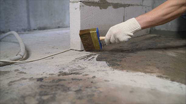 24/7 Emergency Basement Waterproofing experts in Titus, AL